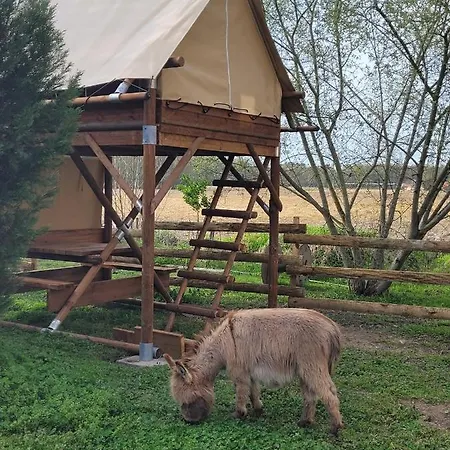 Tente Pionnier Kamp alanı